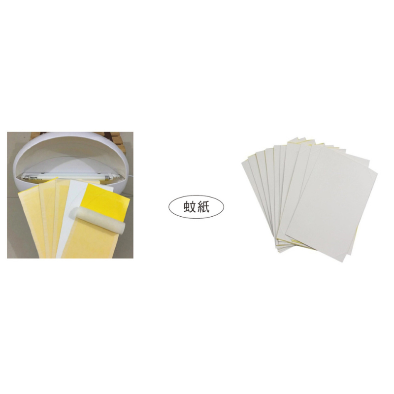 Flying insect Killer Sticker Stick-trap type Fly-killing lamp Insect-killing lamp 20pcs